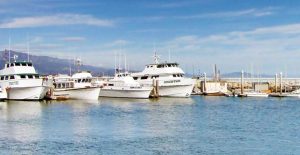 Swimmer Injured In Tomales Bay Boat Accident In Marin County