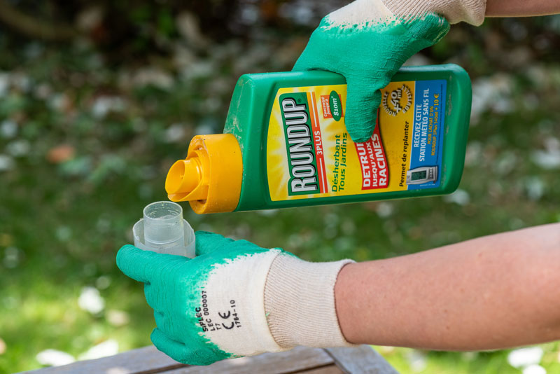 Roundup being applied in home garden